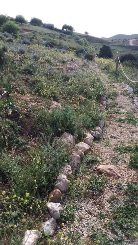 a rocky path in a field with grass and flowers at Casa de campo in Al Hoceïma