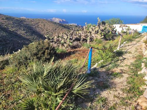 a dirt road with plants on a hill next to the ocean at Casa de campo in Al Hoceïma