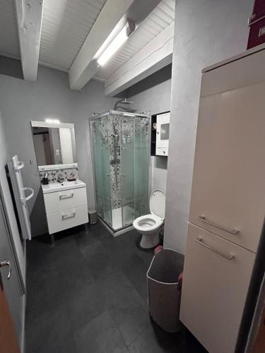 une salle de bain avec toilettes et douche en verre dans l'établissement Maison cosy, garage, jardin, terrasse vue montagne, à Font-Romeu-Odeillo-Via