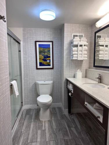 a bathroom with a toilet and a sink at Hampton Inn Waycross in Waycross
