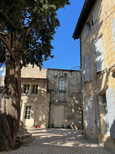 un vieux bâtiment en pierre avec un arbre en face de lui dans l'établissement La Maison de Fabienne, à Tarascon