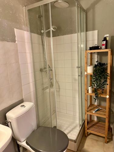une salle de bain avec toilettes et douche en verre dans l'établissement Studio Rdc proche Quai Rouget, à LʼIsle-sur-la-Sorgue