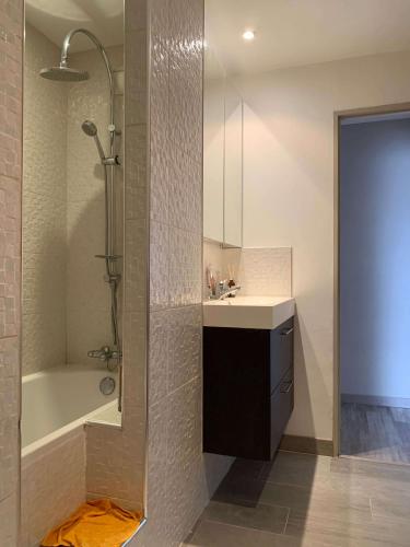 une salle de bain avec une douche, un lavabo et une baignoire dans l'établissement Relaxant chambre à Île de Nantes, à Nantes