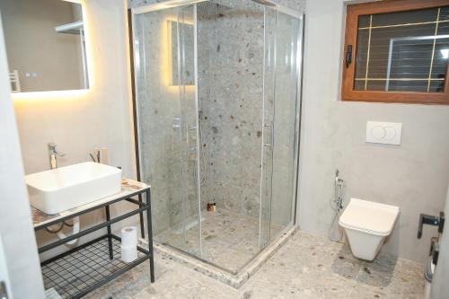 a bathroom with a shower and a sink and a toilet at N'Gen Luxury Villas - Razem in Razëm