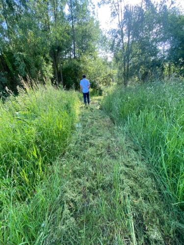 un homme qui marche à travers un champ d'herbe haute dans l'établissement Chambre et bureau à deux pas d'Honfleur, à Fiquefleur-Équainville