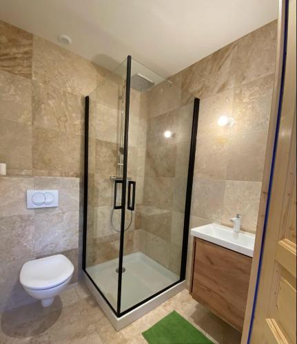 une salle de bain avec une douche, des toilettes et un lavabo dans l'établissement Chambre et bureau à deux pas d'Honfleur, à Fiquefleur-Équainville