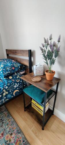 a bedroom with a bed and a table with a plant at Quayside Lodge in Carrick on Shannon