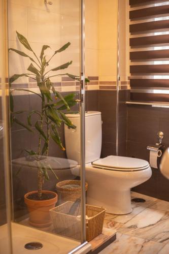 a bathroom with a toilet and a potted plant at Pensión O Camiño in Sarria