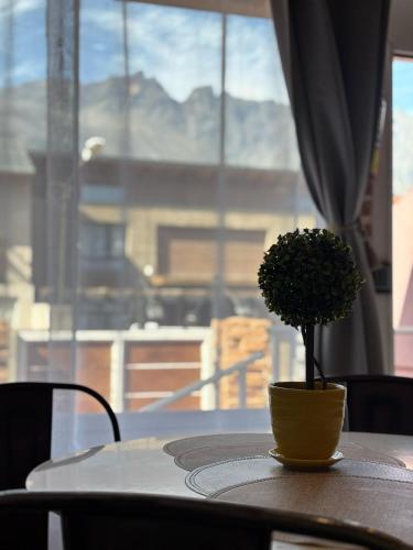 a table with a potted plant on top of it at Cabañas Sublime Bolson in El Bolsón