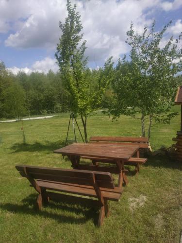 two picnic tables in the grass in a field at Ranczo pod lasem in Lubenia