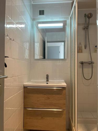 une salle de bain avec un lavabo, un miroir et une douche dans l'établissement Appartement en bord d'étang, au Barcarès