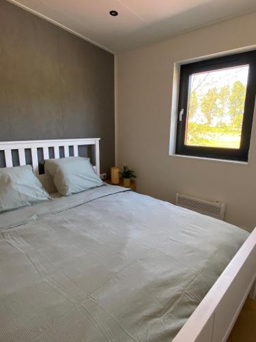 De Eend - Tiny house in de Zeeuwse Natuur