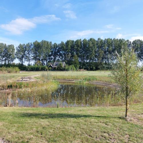 a pond in a field with a house in the background at De Eend - Tiny house in de Zeeuwse Natuur in Driewegen