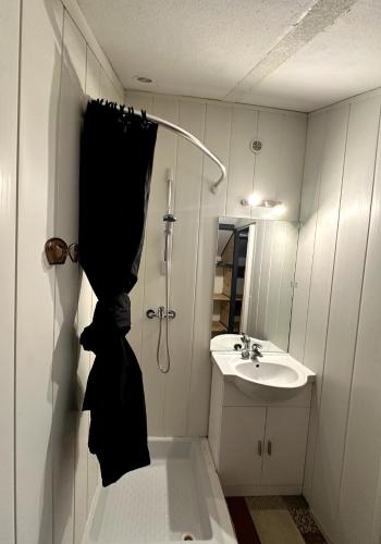 une salle de bain avec douche et lavabo dans l'établissement Studio cosy gare Épinal, à Épinal
