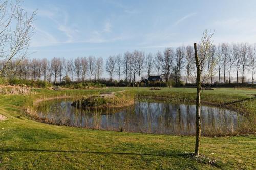 a pond in a field with a tree next to it at De Eend - Tiny house in de Zeeuwse Natuur in Driewegen
