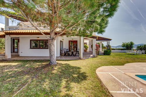 a house with a palm tree in the yard at Beachfront Villa Armonia in Porto Hydra by goutos properties in Ermioni