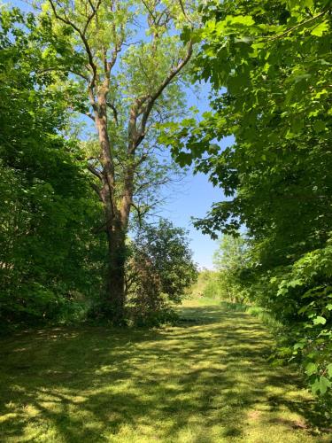 a dirt road with trees on either side at Château du Mont de Guny in Guny