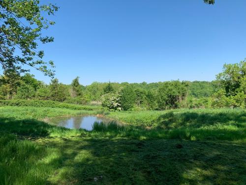 a pond in the middle of a field with trees at Château du Mont de Guny in Guny