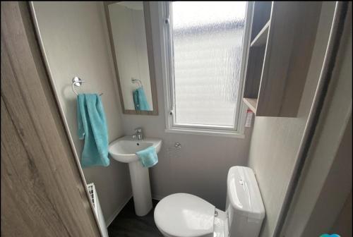 a small bathroom with a sink and a toilet at 15 Willow Wynd Thurston Manor in Dunbar