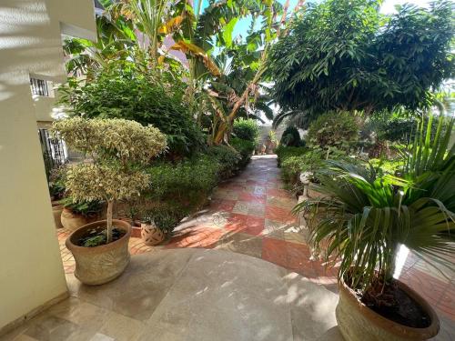 a garden with trees and plants on a walkway at Cozy apartment Chatt Meriem in Hammam Sousse