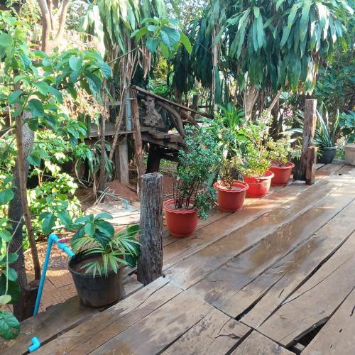 a bunch of potted plants on a wooden deck at FamilyHouse & Trekking in Banlung