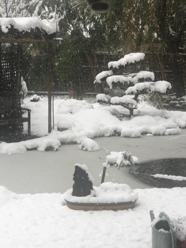a snow covered park with a dog laying in the snow at Le Jardin De La Tuilerie Alsace in Pfastatt