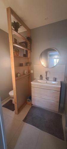 a bathroom with a sink and a mirror at Le Bonheur à Ventoux in Saint-Pierre-de-Vassols