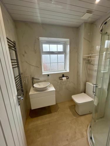 a bathroom with a sink and a toilet and a window at Stay in City Centre 1 in Belfast
