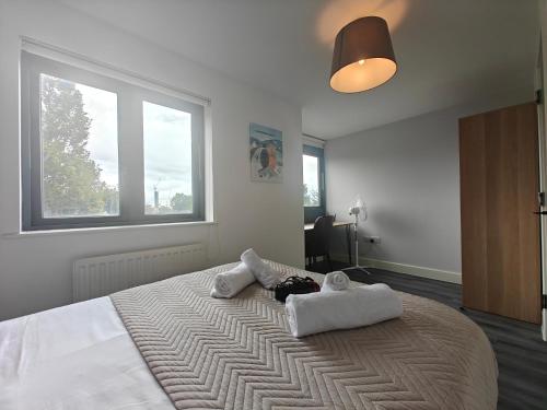 Park Central 4 Double Bedroom House in Birmingham City Center photo 18