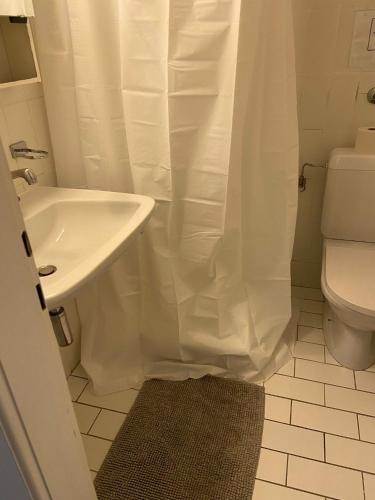 a bathroom with a sink and a toilet and a shower at Swiss Flats in Lausanne