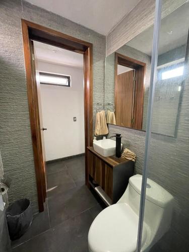 a bathroom with a toilet and a sink and a mirror at Departamento en Chapala in Ixtlahuacán de los Membrillos