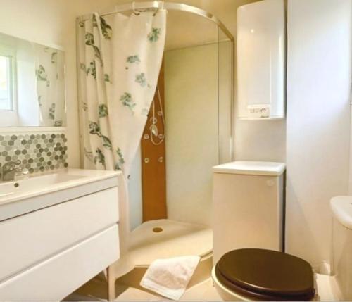une salle de bain avec une douche, des toilettes et un lavabo dans l'établissement Le Petit Gaudois, à La Gaude