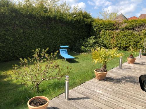 a blue bench sitting in a garden with plants at Ferienhaus am Mümmelbrook in Feldberg