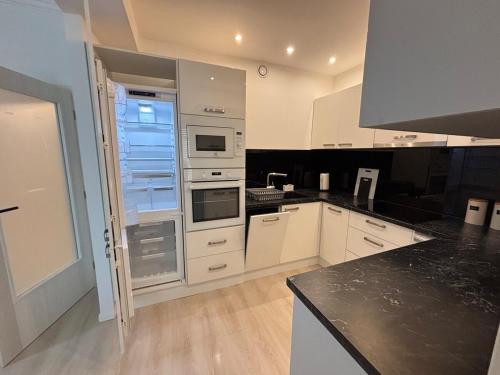 Η κουζίνα ή μικρή κουζίνα στο Apartmán Zelené Atrium Premium