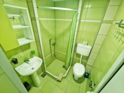 a bathroom with a shower and a toilet and a sink at Vila Aleksandra 2 Apartman 6 in Soko Banja