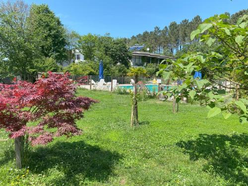 Κήπος έξω από το Kerpe Diem Otel