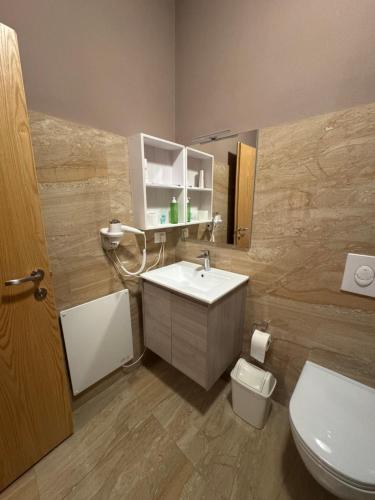 a bathroom with a sink and a toilet at Hotel Epidami in Kashari