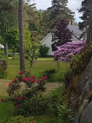Κήπος έξω από το Seaside Villa