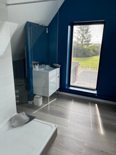 une salle de bains bleue avec lavabo et fenêtre. dans l'établissement Maison au cœur de la forêt, à Râches