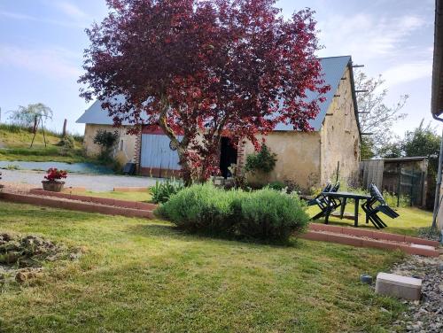 a picnic table and a tree in a yard at La belle étape bercéenne au calme de sa campagne près circuit Mans Sud in Marigné-Laillé