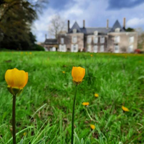 Ein Garten an der Unterkunft L'Essongère