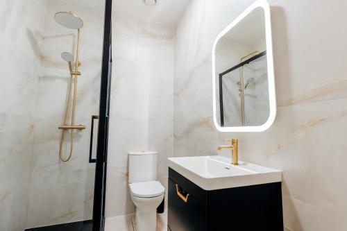 a bathroom with a sink and a mirror and a toilet at Eden Quay Guesthouse Private Rooms in Dublin
