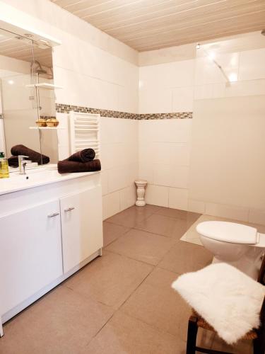 a white bathroom with a toilet and a sink at Gîte sous les pins La grange à deux in Giscos