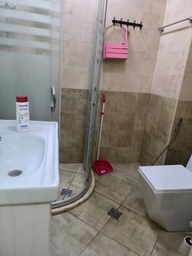 a bathroom with a shower and a sink and a toilet at Home away home in Mekhrably