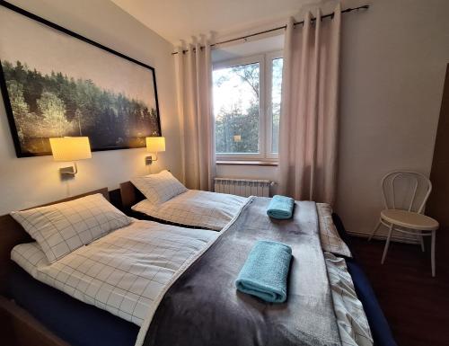 two twin beds in a room with a window at Dom wakacyjny i Domki letniskowe nad Tanwią Roztocze in Narol
