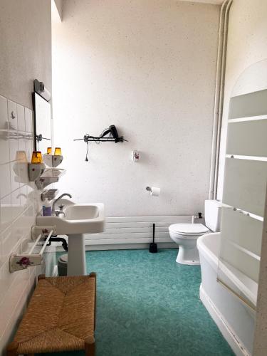 une salle de bain avec un lavabo et des toilettes dans l'établissement Jolly Château - private room 