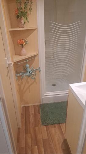 La salle de bains est pourvue d'une douche. dans l'établissement Mobil home, à Saint-Chéron