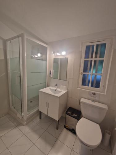 a bathroom with a toilet and a sink and a shower at Le Cosy in Saint-Aygulf