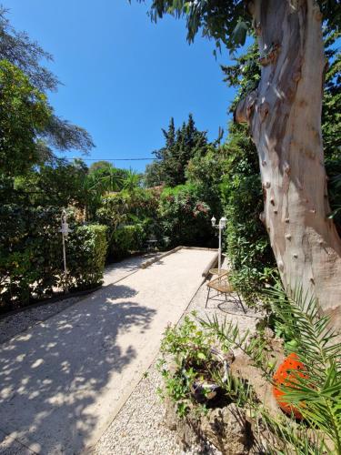 a garden with a tree and a sidewalk at Le Cosy in Saint-Aygulf