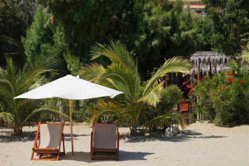 Κήπος έξω από το Muelle Viejo Bungalows
